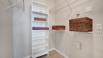 Walk-in closet with shelving and storage baskets